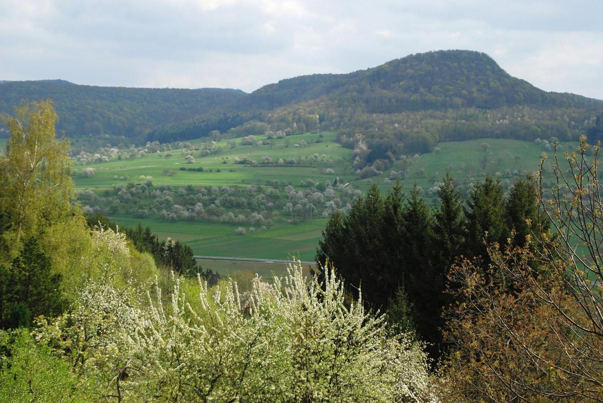 Ferienwohnungen Beim Imker Moessingen Exterior photo